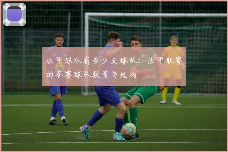 法甲球队有多少支球队：法甲联赛的参赛球队数量与结构