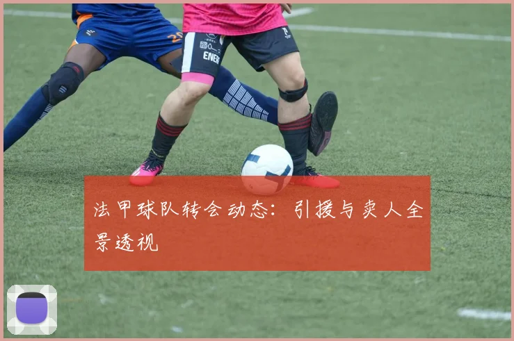 法甲球队转会动态：引援与卖人全景透视