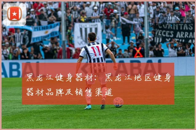 黑龙江健身器材：黑龙江地区健身器材品牌及销售渠道