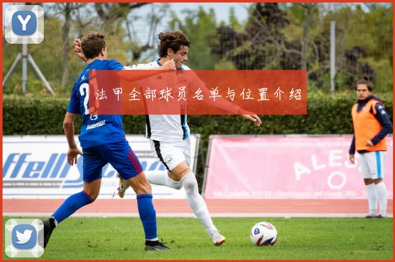 法甲全部球员名单与位置介绍