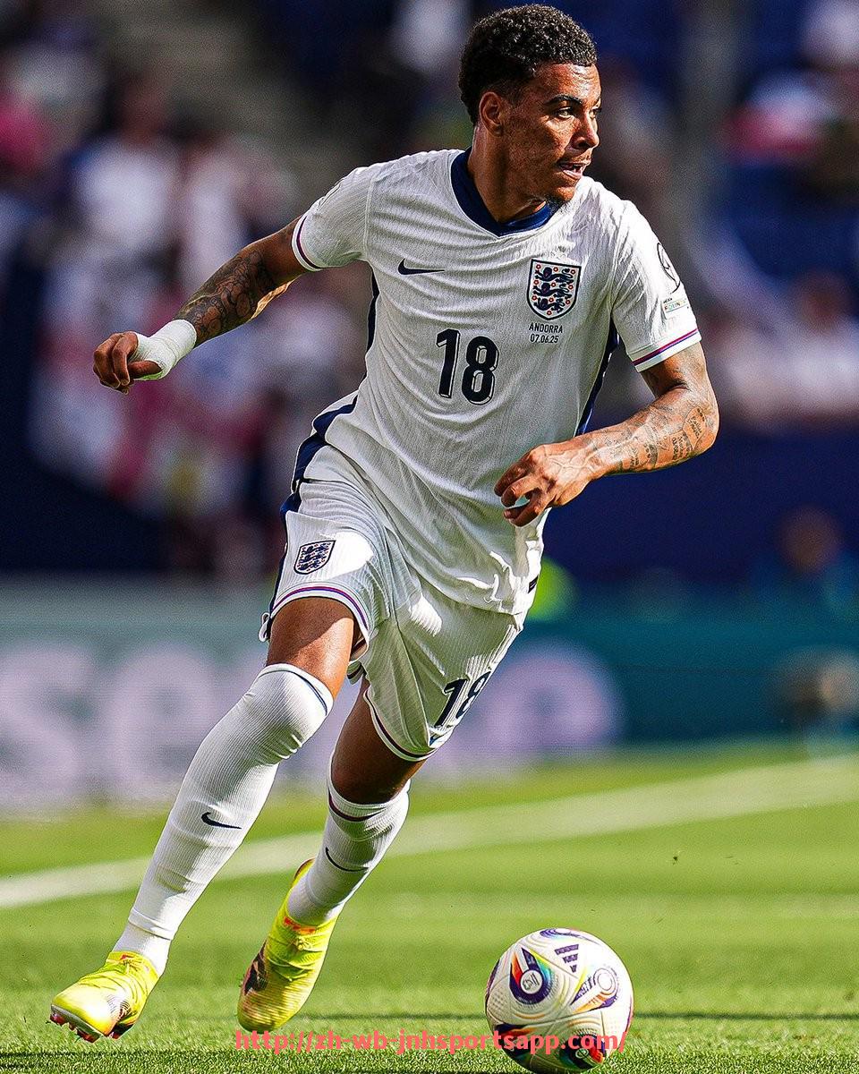 金年会app-世俱杯商业合作合同条款设计及法律风险防控